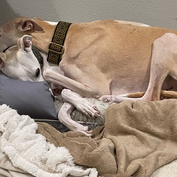 Meet your Posher, Denise - Picture 6 of 6